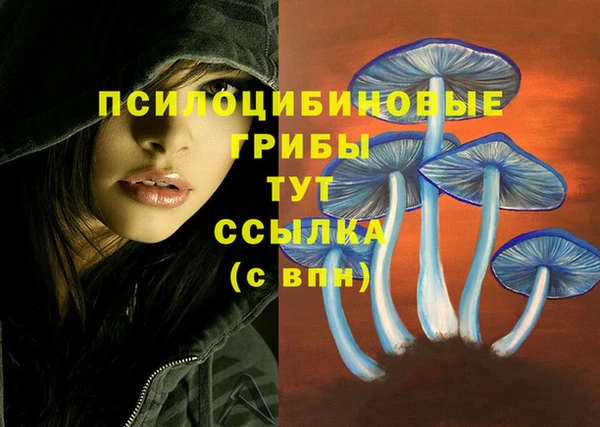 PSILOCYBIN Медногорск